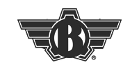 Bolt logo