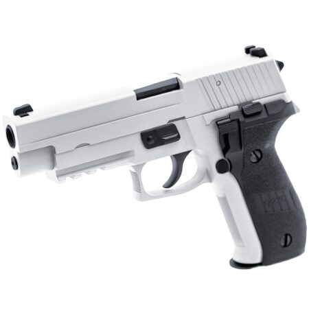 RAVEN R226 BRUSHED CHROME + BDS -RGP-04-06-BDS